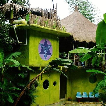 Casa Caracol Hotel San Luis Potosi Ngoại thất bức ảnh